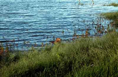 水利堤防工程管理論文