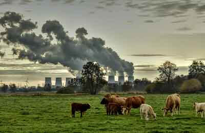 環(huán)保宣傳形式