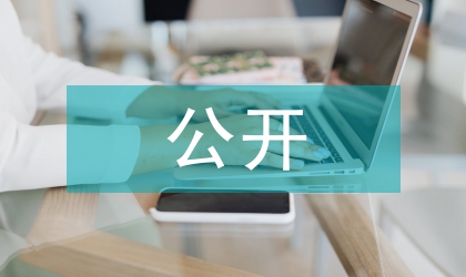 政務信息公開經驗