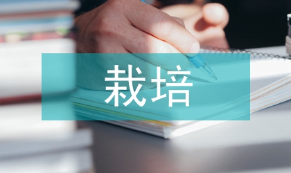 山區(qū)花生栽培