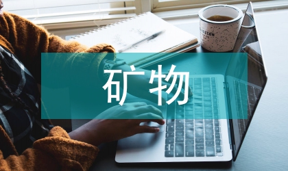 礦物能源保護考核辦法