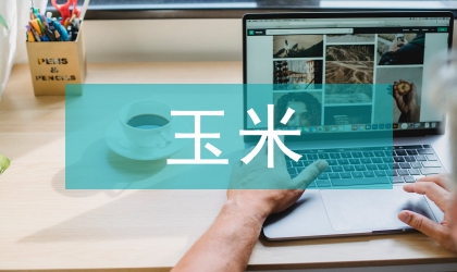 氮肥對玉米經濟效益的重要性