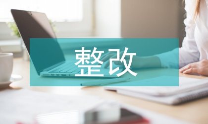 個人問題整改報告