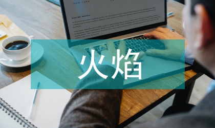 磁場強度對預混火焰的影響