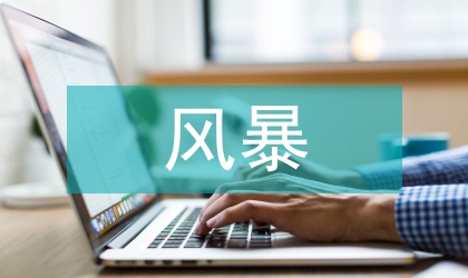 防御風暴工作預案