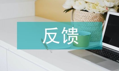 巡察反饋問題整改報告