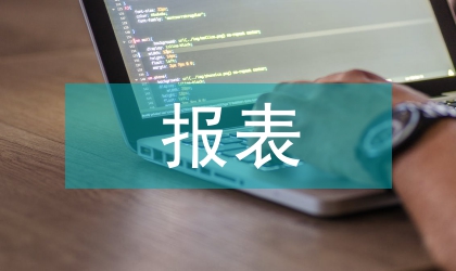 建立統(tǒng)一的報(bào)表編制語(yǔ)言