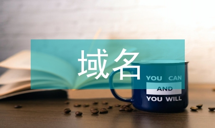 域名產(chǎn)權(quán)保護(hù)