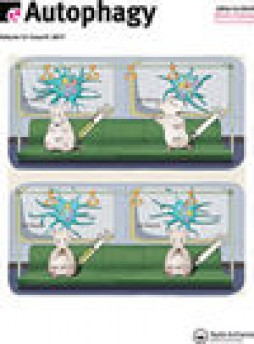Autophagy雜志