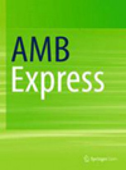 Amb Express雜志