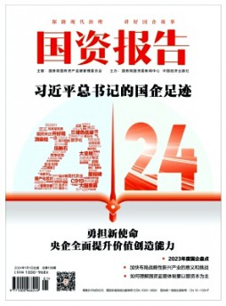 國(guó)資報(bào)告