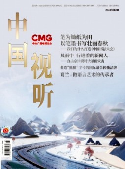 中國(guó)視聽